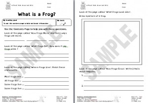 What is a Frog? – Read Think Learn