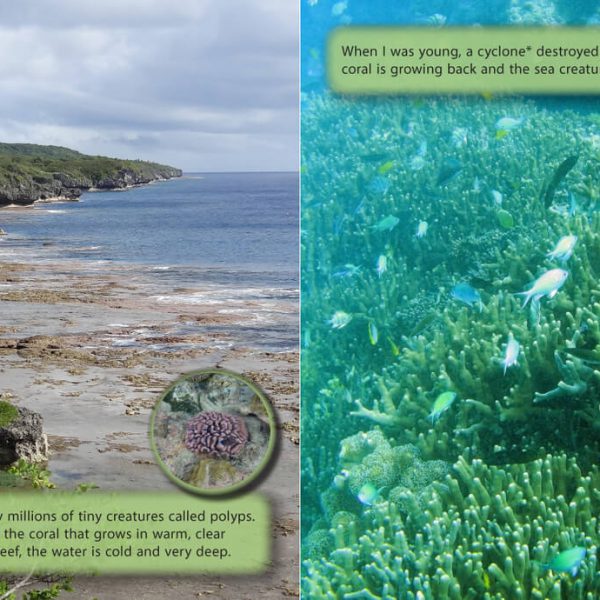 The Rat and the Octopus – Niue – Read Think Learn